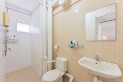 Blk 132 Lorong Ah Soo (Hougang), HDB Executive #523961511